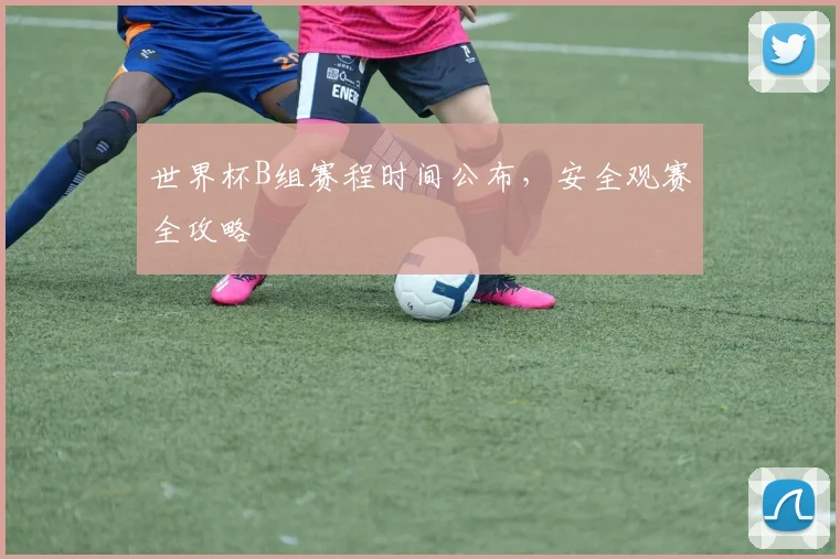 世界杯B组赛程时间公布,安全观赛全攻略